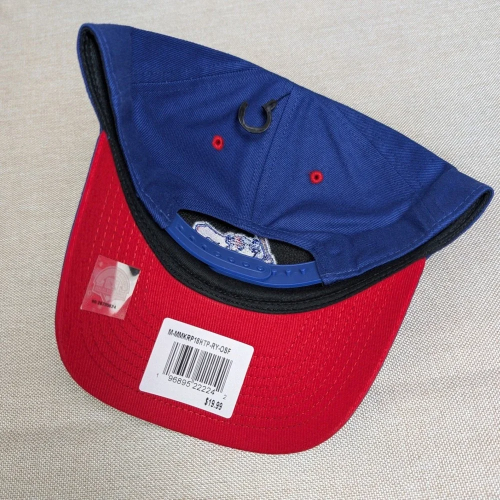 Fan Favorite Buffalo Bisons Hat Mens OSFA Blue NWT MiLB Baseball Snapback Cap